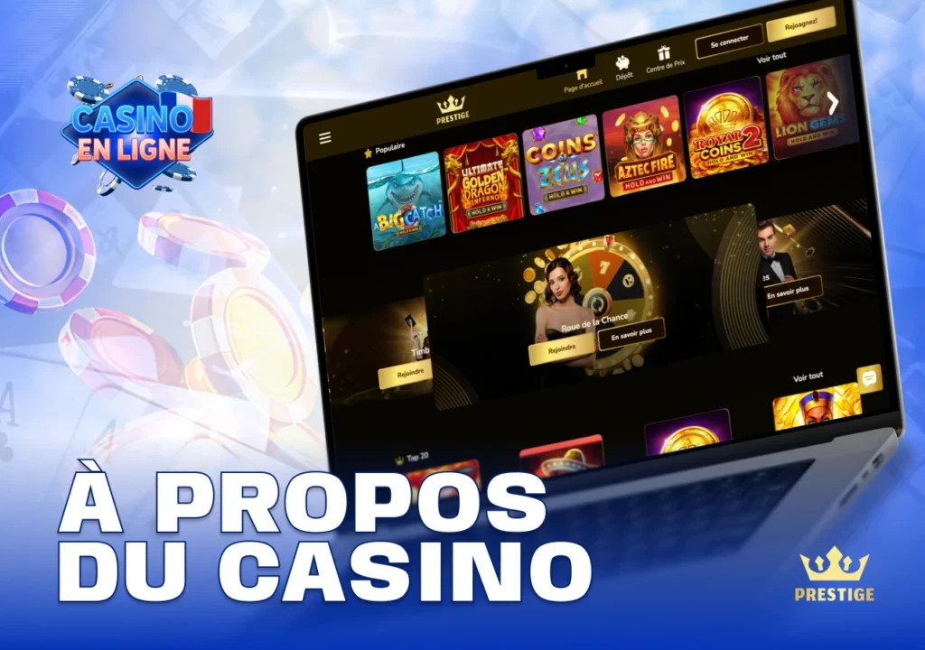 Présentation générale du casino en ligne avec informations sur la plateforme, les jeux et les services proposés